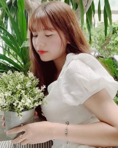 Ảnh Trang Nơ